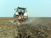 Farm 7