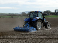 Farm 8