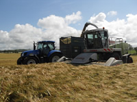 Farm 9