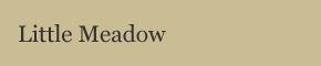 Little Meadow